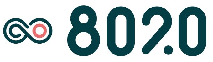 Logo 8020